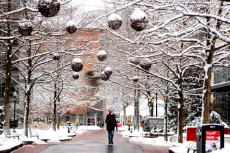 En Northeastern University X Wallpaper