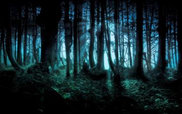 Spooky Wallpaper Top Background