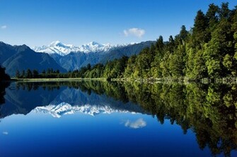 Wallpaper Forest Lake Mountains Reflection New Zealand