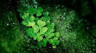 Shamrock HD Wallpaper High Definition Quality