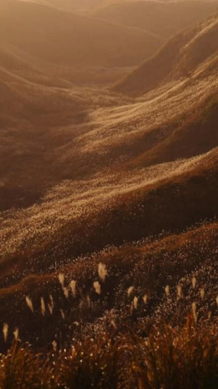Brown Aesthetic Background