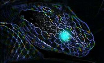 Neon Snake Wallpaper