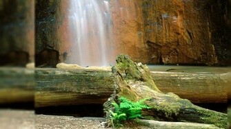 Popular Wallpaper HD 3d