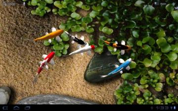 Koi Fish Live Wallpaper 3d Graphics And Rain Drops Too Android