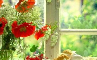 HD Widescreen Wallpaper Superb Desktop Flowers