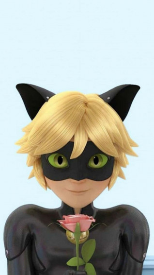 Save The Day With Cat Noir Wallpaper