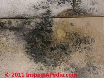 Mold On Vinyl Windows In Wall Cavities Wallpaper