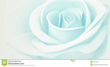 3d Light Blue Rose Royalty Stock Photography Image