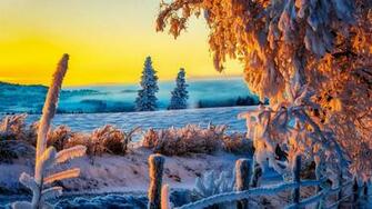 Beautiful Winter Sunrise 4k Ultra HD Wallpaper Net