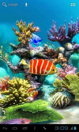 Acquario Kitkat Live Wallpaper Applicazioni E Giochi Android