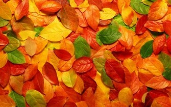 To Wallpaper Just Right Click On Pictures And Select Save
