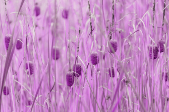 Purple Pastel Aesthetic Wallpaper