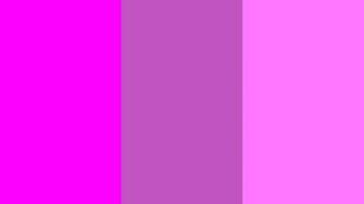 Related Pictures Fuschia Zebra Wallpaper Desktop