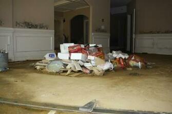 Shall I Buy A House With Mold Rental State Cheap Real Estate
