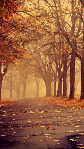 Park In Autumn iPhone Wallpaper