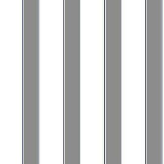 Strip With Fine Black Pin Stripe On Each Side I Like This One White