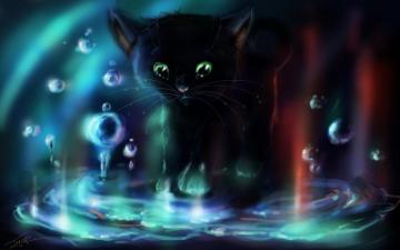 Kitten Water Bubbles Art