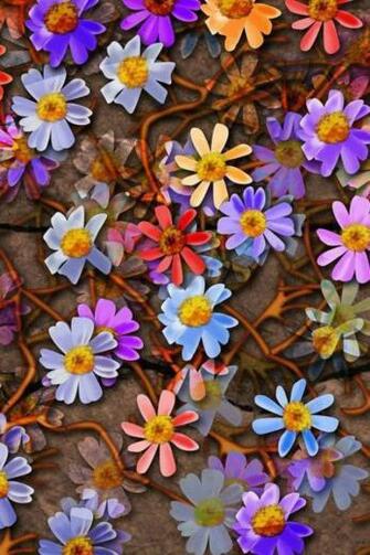 Color Daisies iPhone 4s Wallpaper iPad