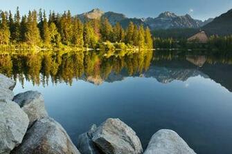 Nature Landscape Trees Forest Slovakia Tatra Mountains