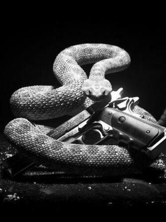 Snake And Gun Screensaver For Amazon Kindle