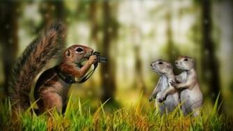 Animals Wallpaper For Desktop