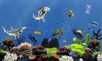Aquarium Fish Wallpaper Live
