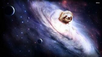 HD Wallpaper Sloth Funny Animal Quotes X Kb Jpeg
