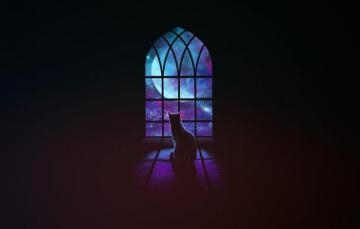 Wallpaper Minimalism Stars Cat Space Window Background