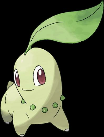 Chikorita HD Wallpaper On