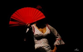 Flamenco Passion Wallpaper