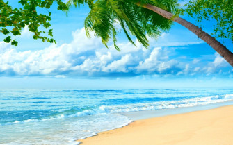 Beach Full HD Wallpaper And