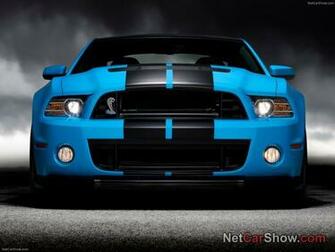 Shelby Mustangs Pictures Of New Mustang Gt500