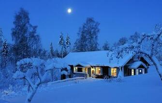 Wallpaper Winter Forest Light Snow Trees Night Lights The