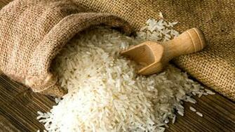 Rice Wallpaper Image Group