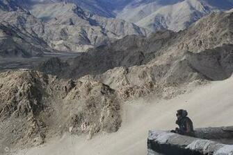 Tibetan Landscape Buddhist Wallpaper