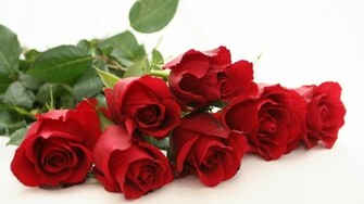 Red Roses On A White Table Background Wallpaper And Image