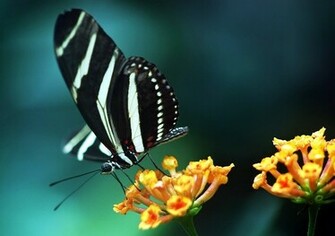 Galaxy Pics Desktop Wallpaper S