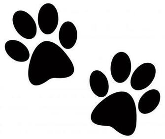 Cat Paw Print Image Wallpaper HD Fine