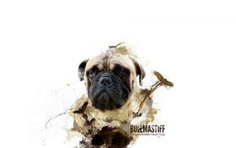Bullmastiff Cool Wallpaper
