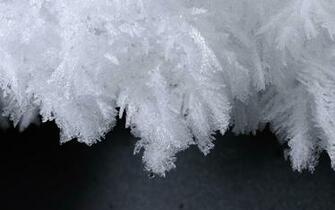 Ice Crystals Wallpaper