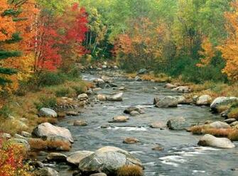 Different Types Of Nature Background Wallpaper