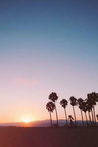 Palm Tree Sunset Abbott Kinney Nature Photography Venice