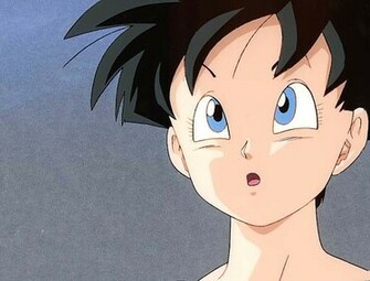 Videl Wallpaper Picture