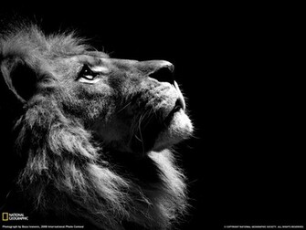 Black And White Pictures Wallpaper Misc
