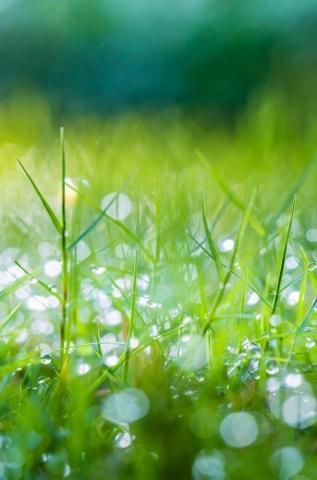 Desktop Wallpaper iPhone And Nature Photos