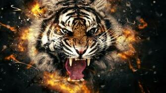 Desktop Photos Tiger Face Wallpaper