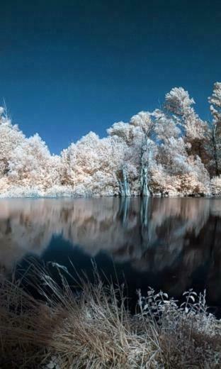 Water Landscapes Nature Winter Trees White Lakes Wallpaper
