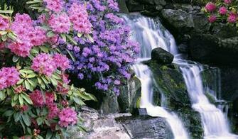 Spring Screen Wallpaper Picserio