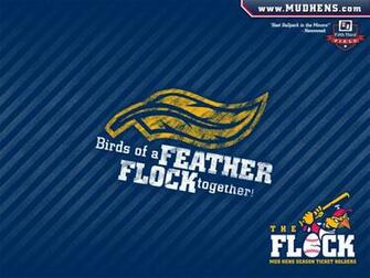 The Flock S Toledo Mud Hens Fan Center