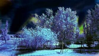Winter Storm Wallpaper